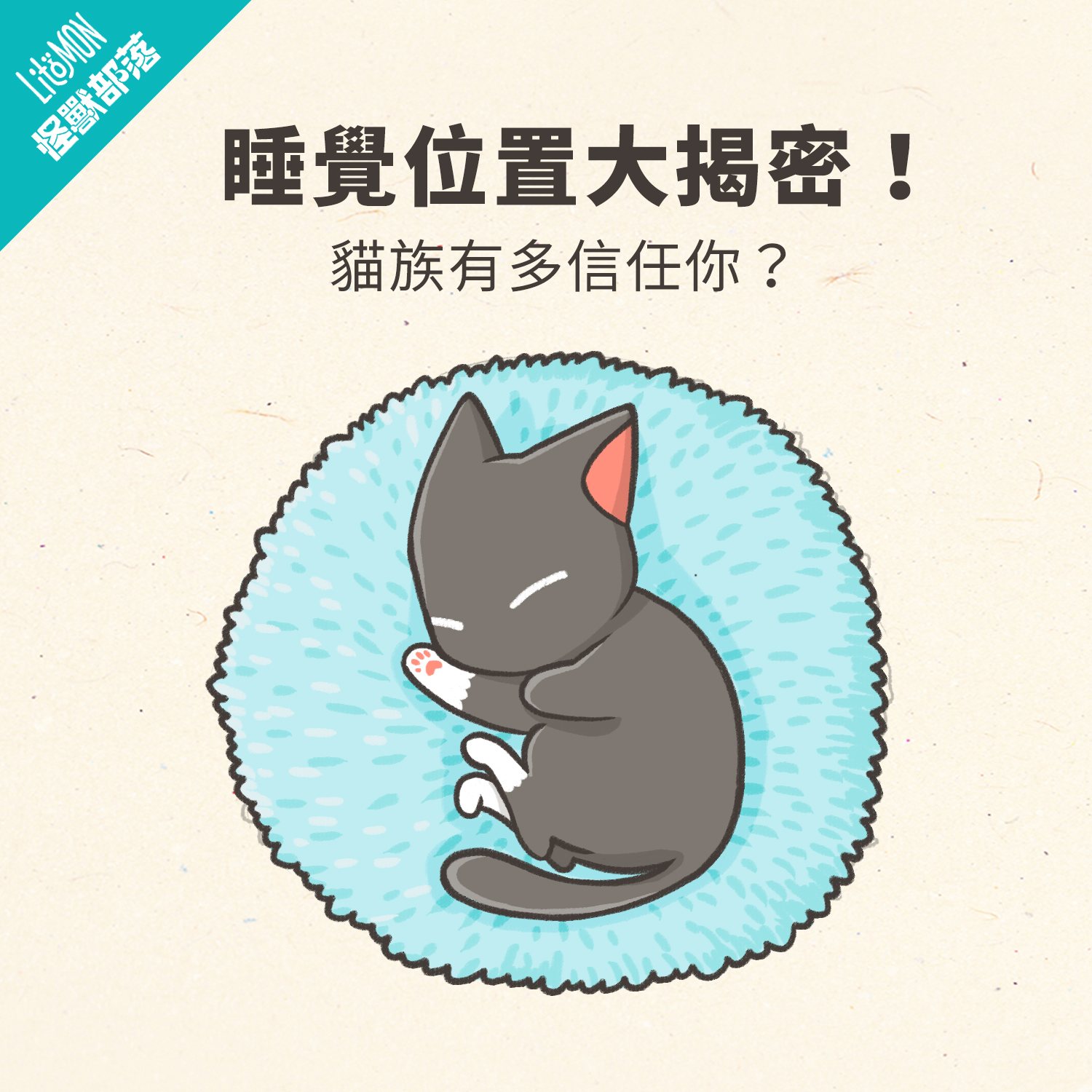 貓咪睡覺位置大揭密！貓咪睡在哪裡，代表牠有多愛你？信任指數大解析！ - 怪獸部落