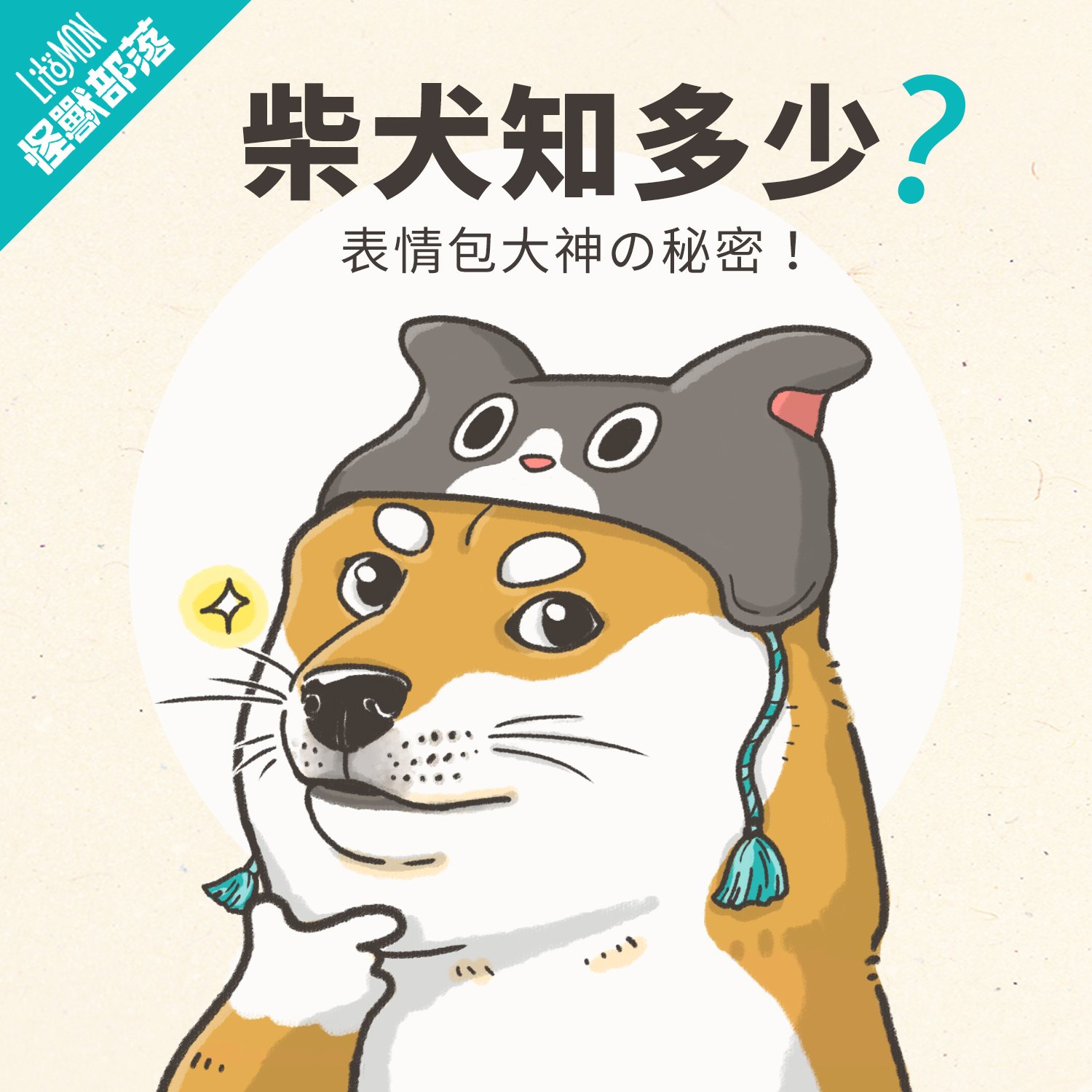 柴犬好養嗎？特徵、個性、智商、常見缺點與飼養指南- 怪獸部落