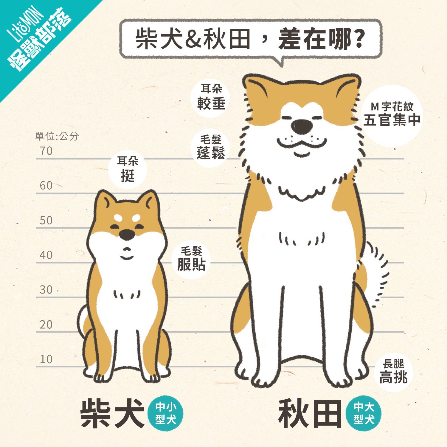 柴犬好養嗎？特徵、個性、智商、常見缺點與飼養指南- 怪獸部落