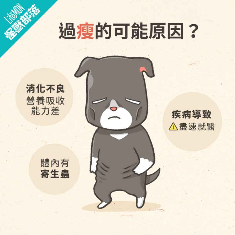 犬貓過胖過瘦?身材勻稱大作戰! - 怪獸部落