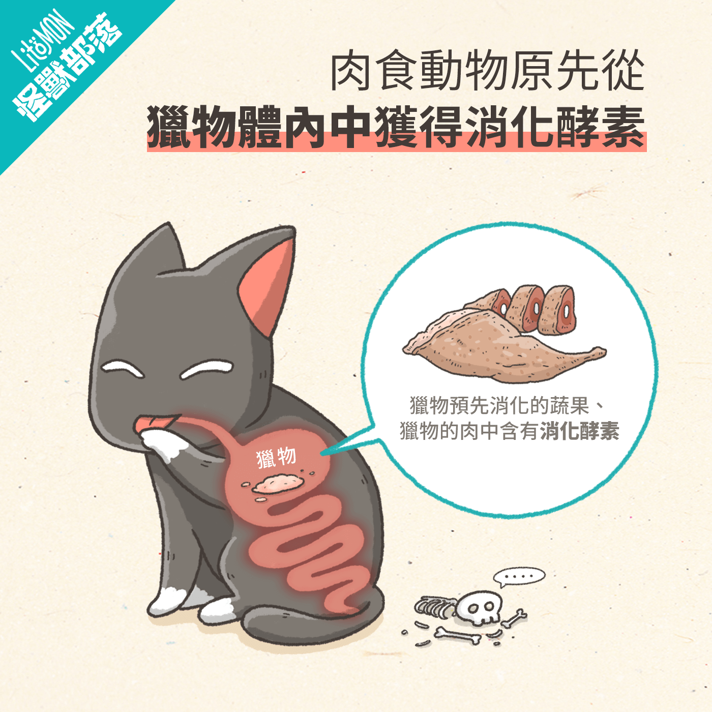酵素 原來對犬貓這麼重要 怪獸部落