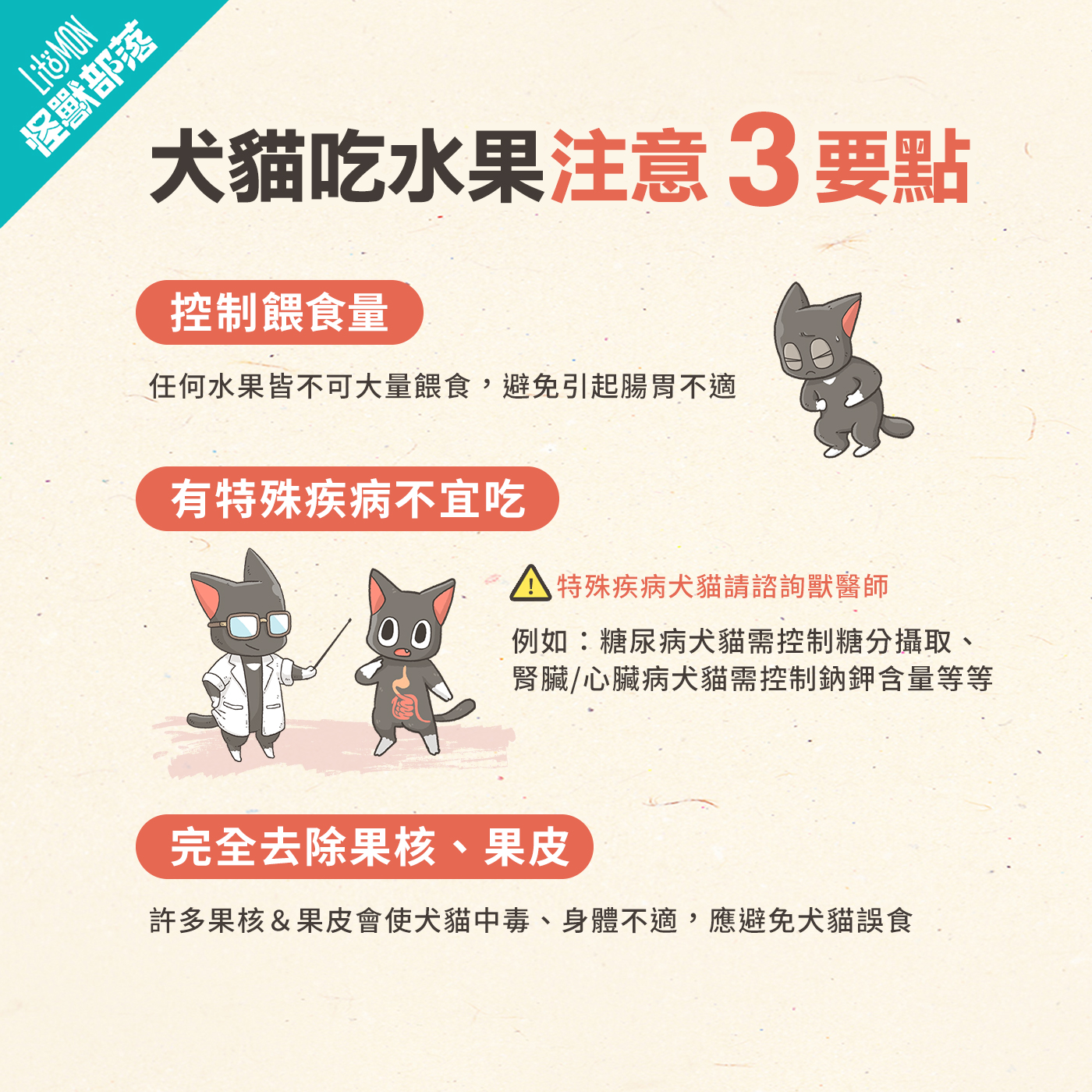 貓咪可以吃什麼水果？一張圖搞懂貓咪能吃、不能吃的清單！ - 怪獸部落