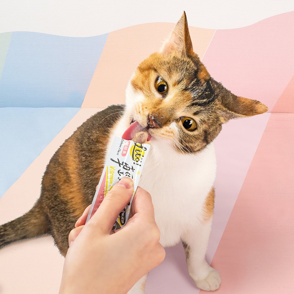 貓肉泥 貓零食 輕肉泥 貓泥 貓零食推薦 肉泥貓