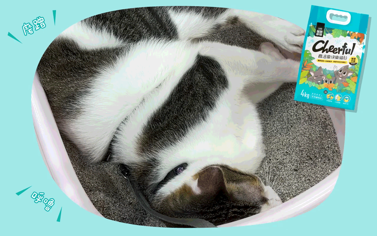 礦砂 礦砂推薦 貓礦砂 費洛蒙貓砂 貓亂尿尿 貓砂礦砂