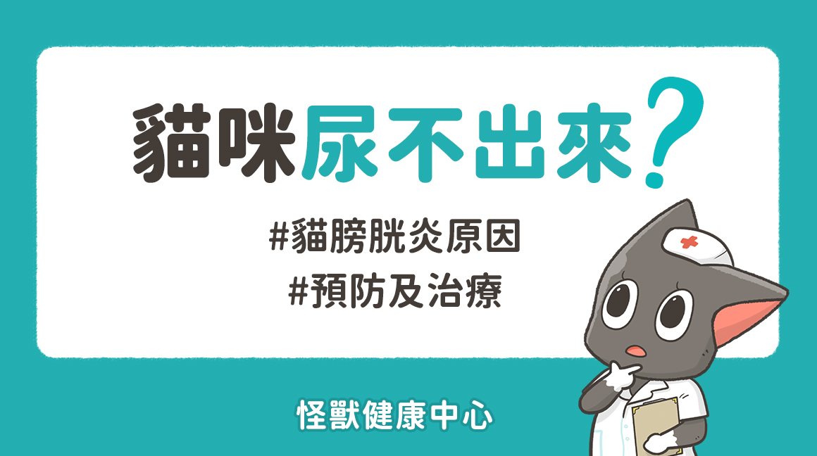 貓咪健康 貓咪尿不出來 貓膀胱炎原因 預防及治療 怪獸部落 貓咪健康 貓咪尿不出來 貓膀胱炎原因 預防及治療 怪獸部落