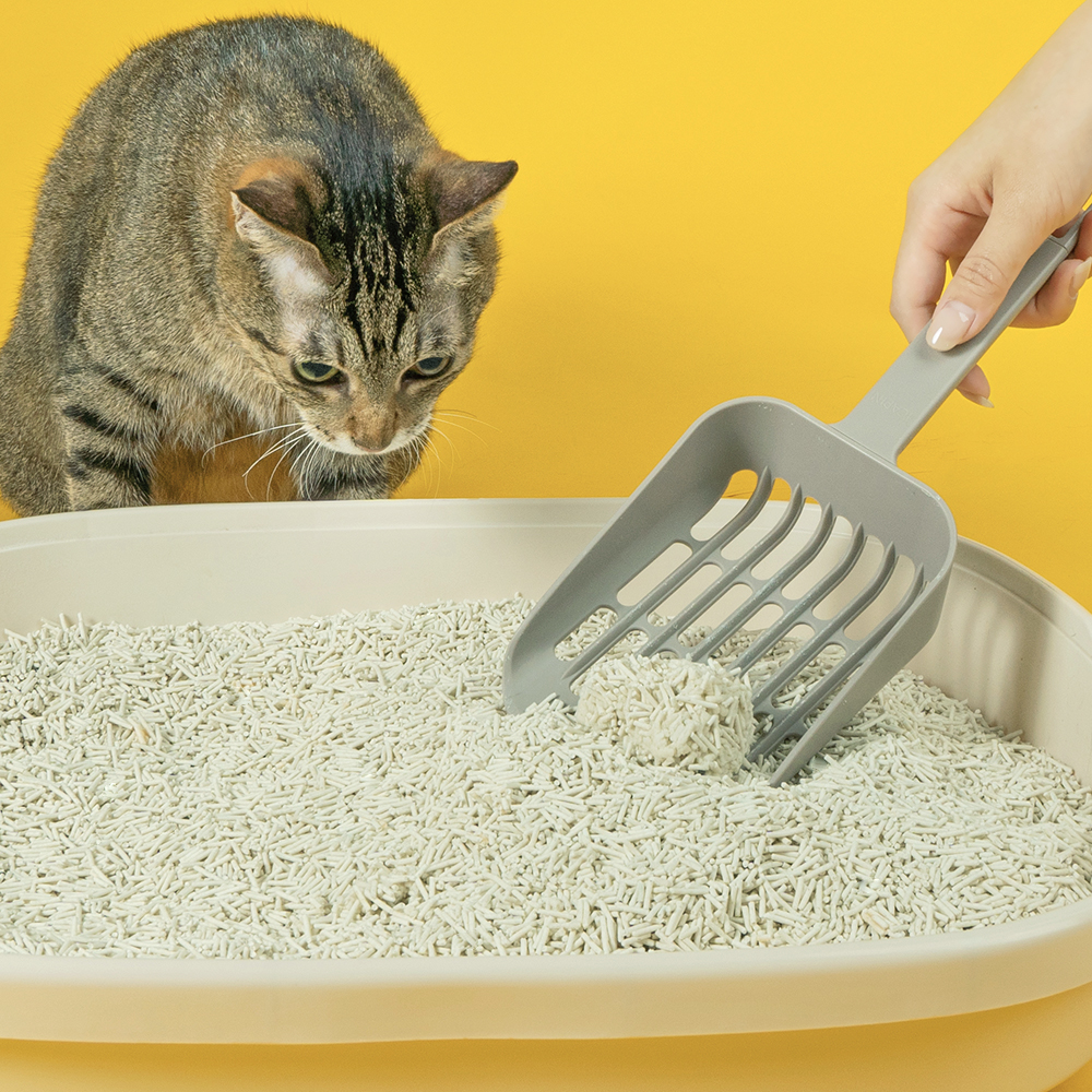 快樂豆腐砂產品圖_配方更新-2