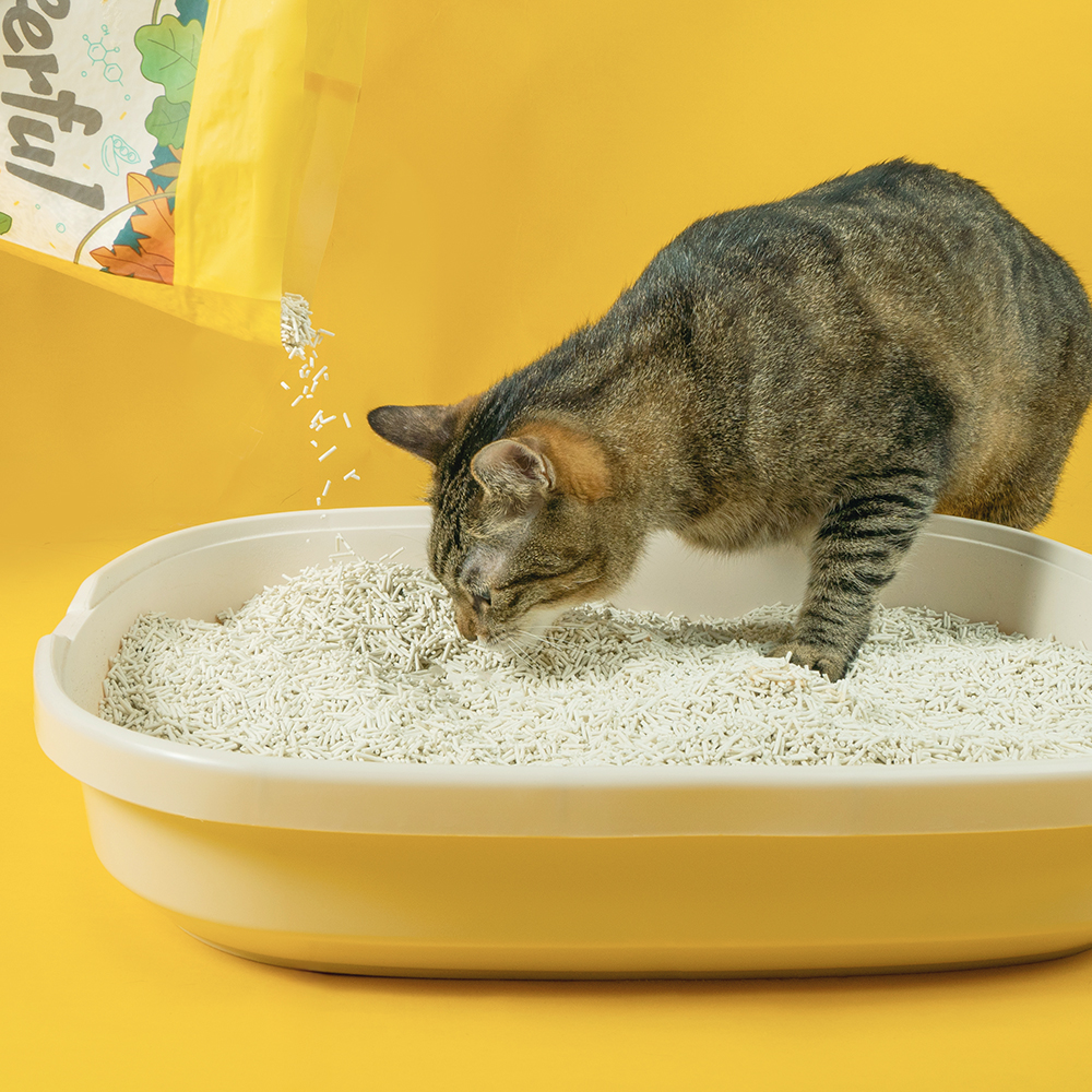 快樂豆腐砂產品圖_配方更新-3