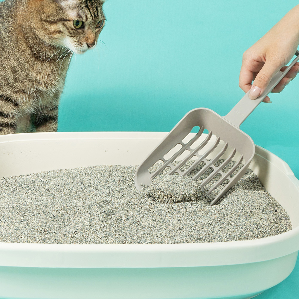 快樂礦砂產品圖-2 礦砂 礦砂推薦 貓礦砂 費洛蒙貓砂 貓亂尿尿 貓砂礦砂