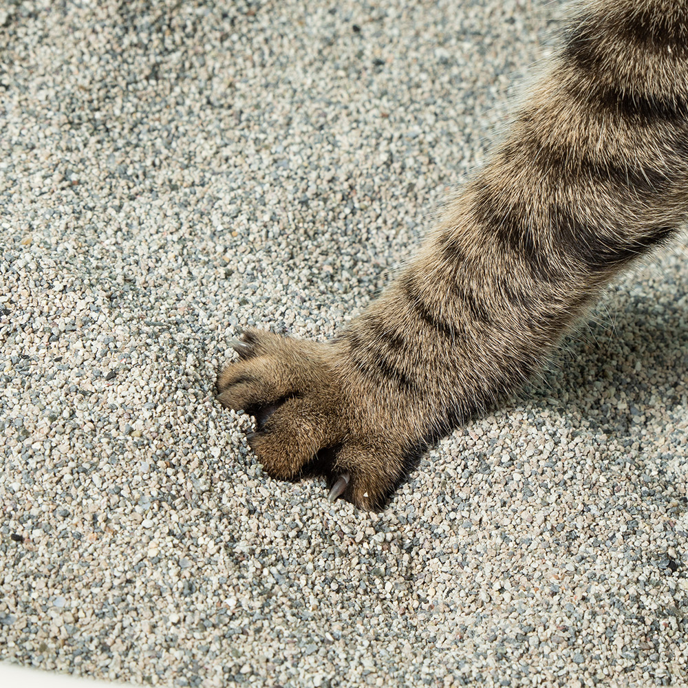 快樂礦砂產品圖-4 礦砂 礦砂推薦 貓礦砂 費洛蒙貓砂 貓亂尿尿 貓砂礦砂