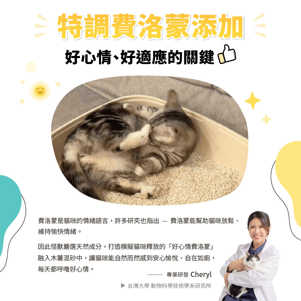 relaxcatlittercassava_SP_7