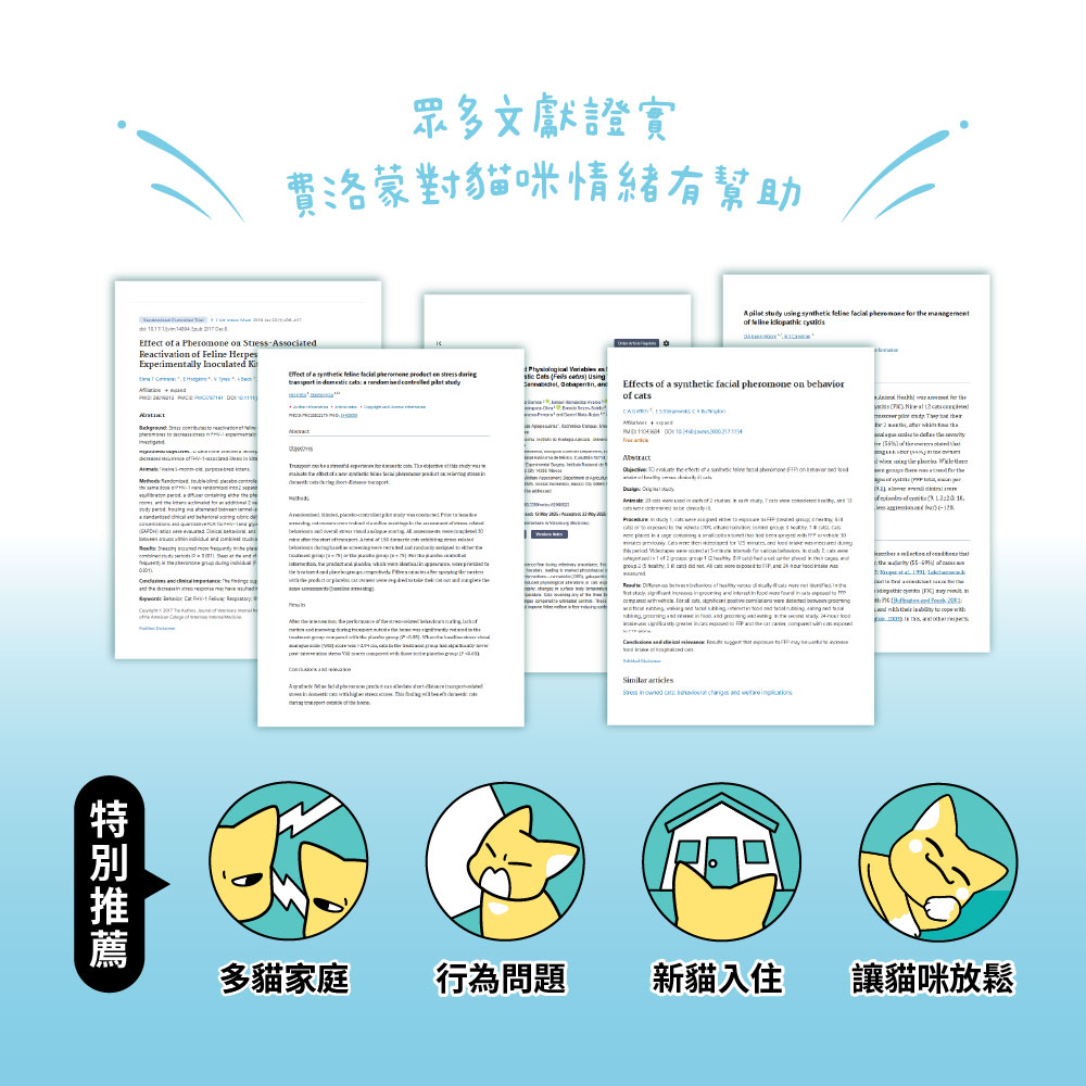 relaxcatlittercassava_SP_8