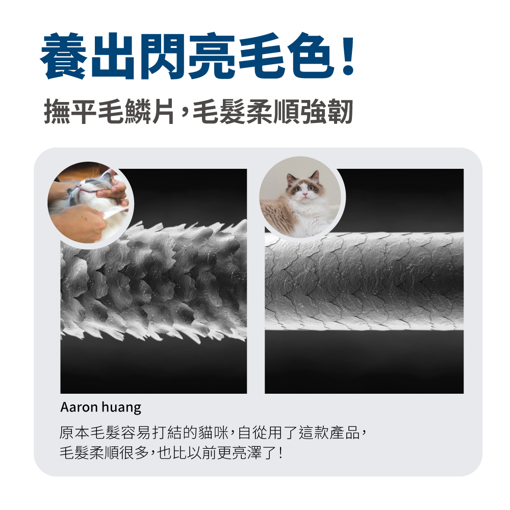 LickableSupplement(Krilloil)_SP_7