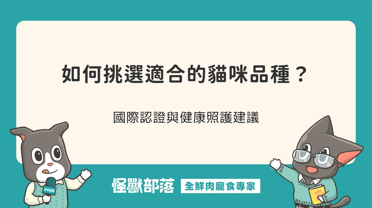 如何挑選適合的貓咪品種？國際認證與健康照護建議