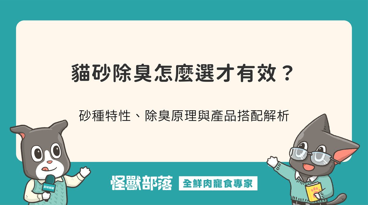 貓砂除臭怎麼選才有效？砂種特性、除臭原理與產品搭配解析