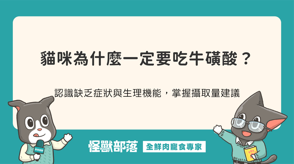 為什麼貓咪要吃牛磺酸？認識缺乏症狀與每日攝取建議