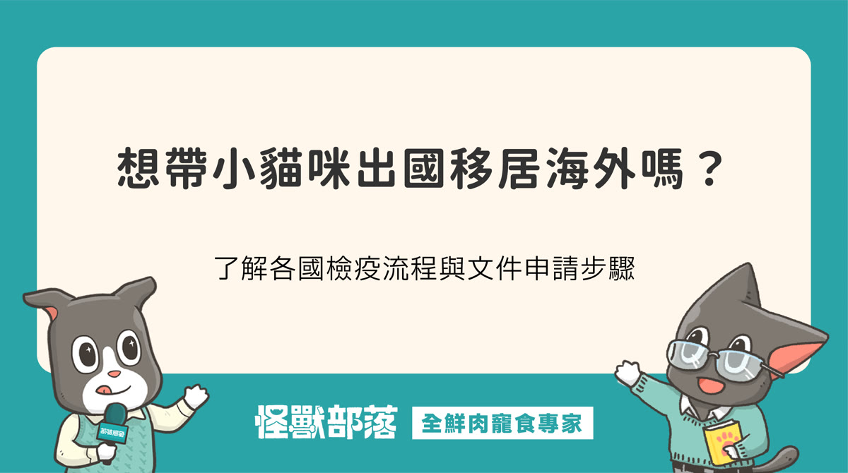 帶小貓咪出國準備多久？各國檢疫流程與文件申請步驟
