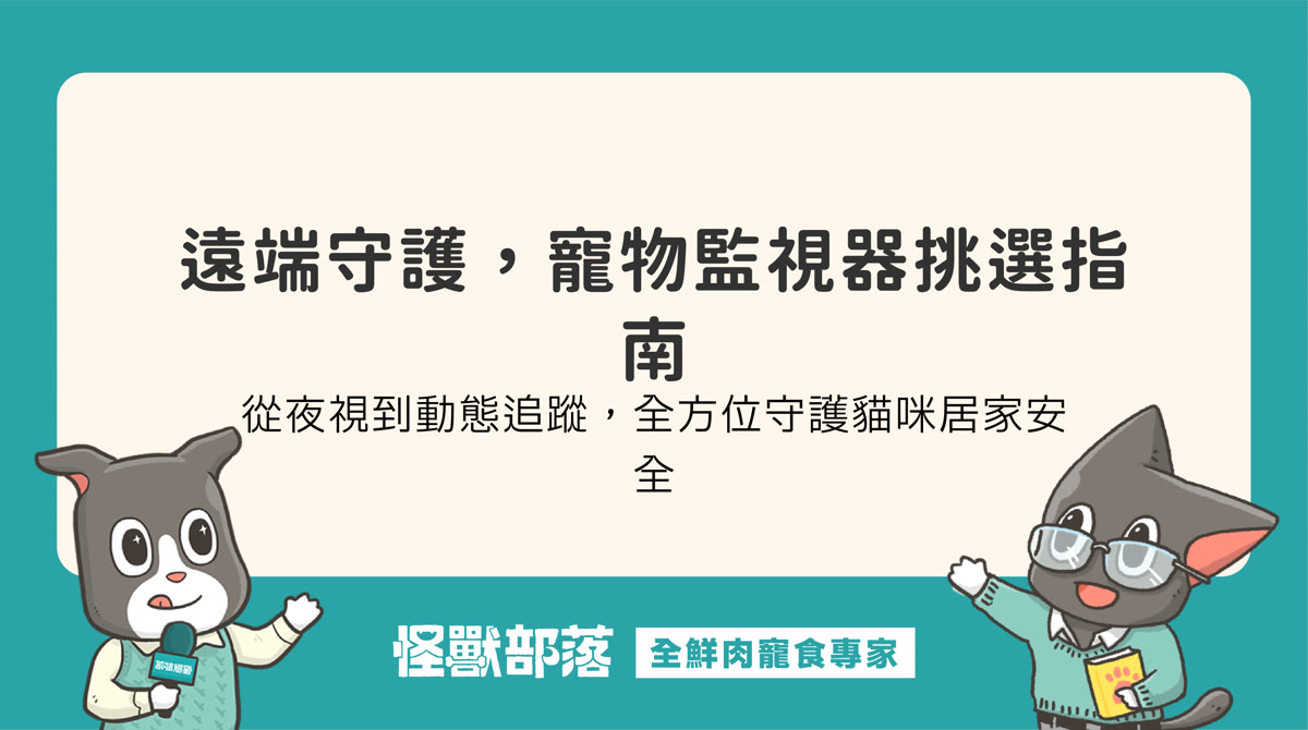 寵物監視器怎麼選？常見功能與挑選重點，守護貓咪居家安全