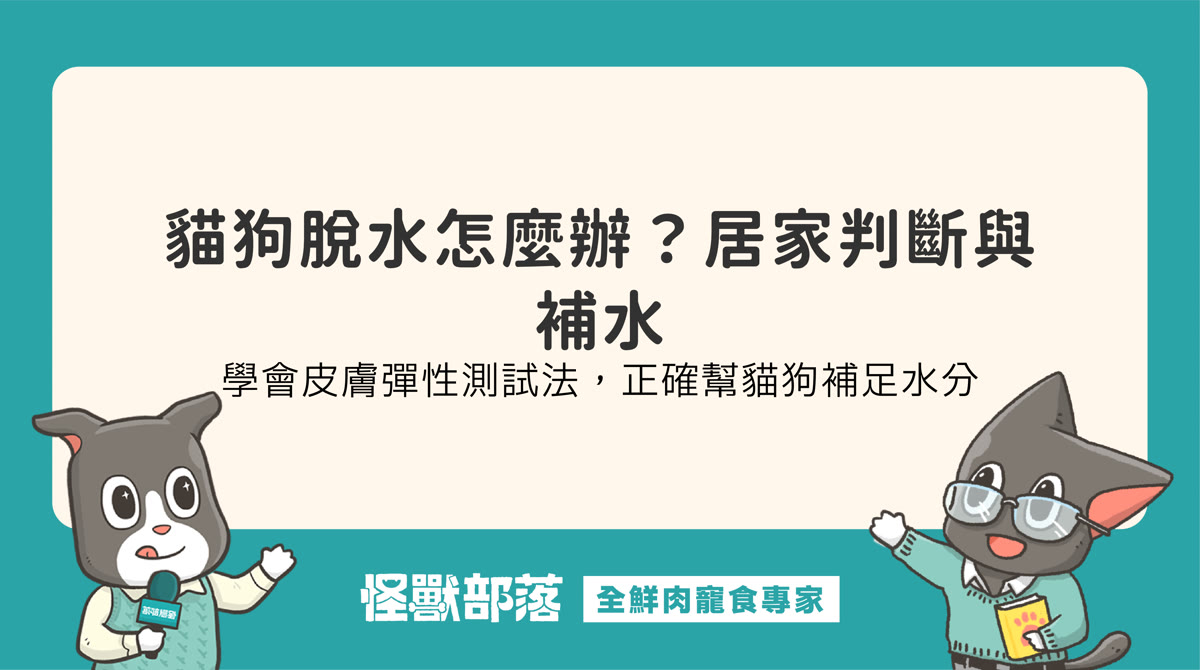 貓狗脫水怎麼判斷？觀察皮膚牙齦徵兆與正確補水建議