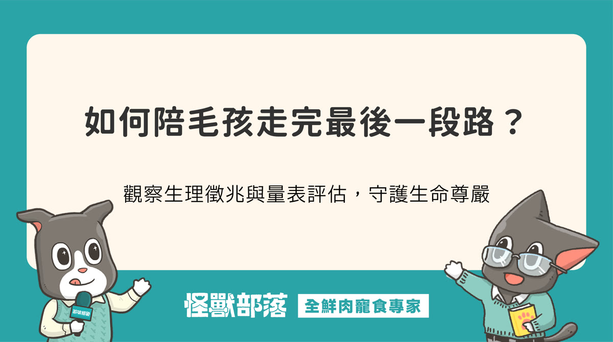 毛孩臨終前有哪些徵兆？善終規劃與臨終照顧建議