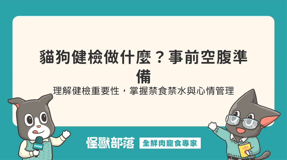 貓狗健康檢查項目有哪些？健檢前空腹與準備事項指南