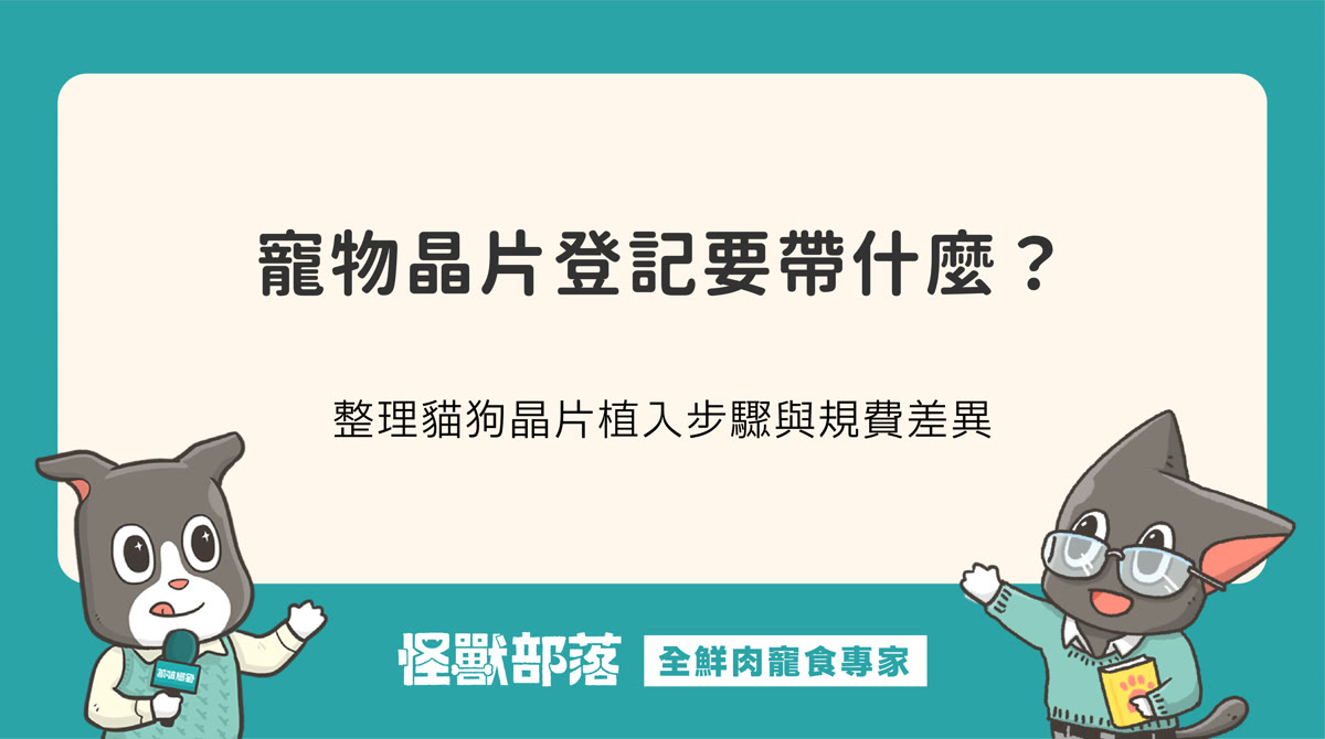 寵物晶片登記要帶什麼？貓狗晶片植入流程與費用