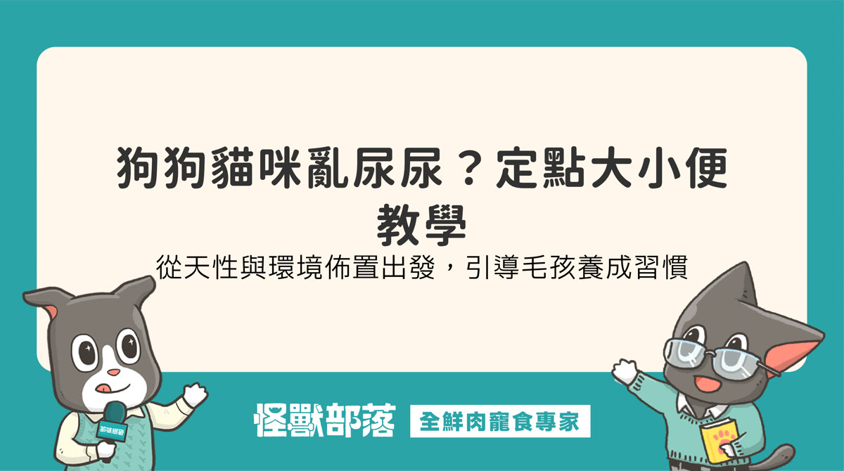 如何教寵物定點大小便?環境佈置與正向引導實作建議