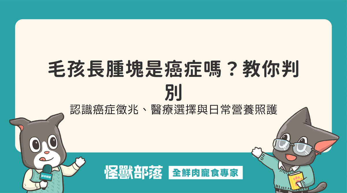 貓狗長腫瘤怎麼辦?認識癌症徵兆、應對選擇與營養照護