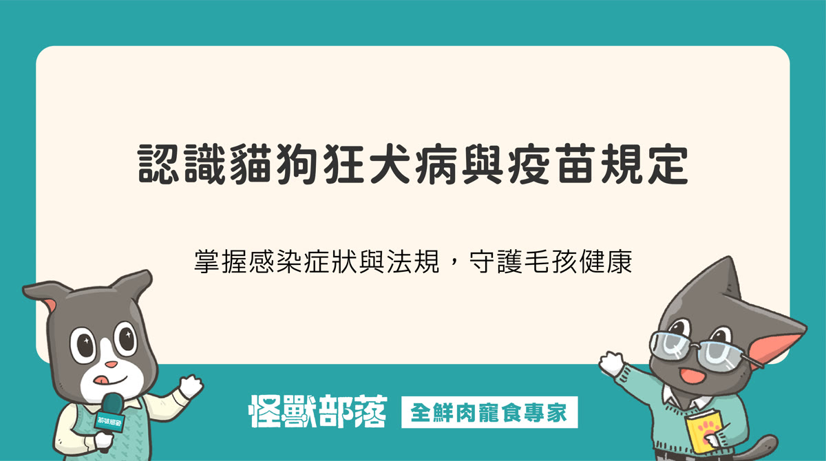 狂犬病對貓狗有哪些威脅？認識感染症狀與疫苗規定