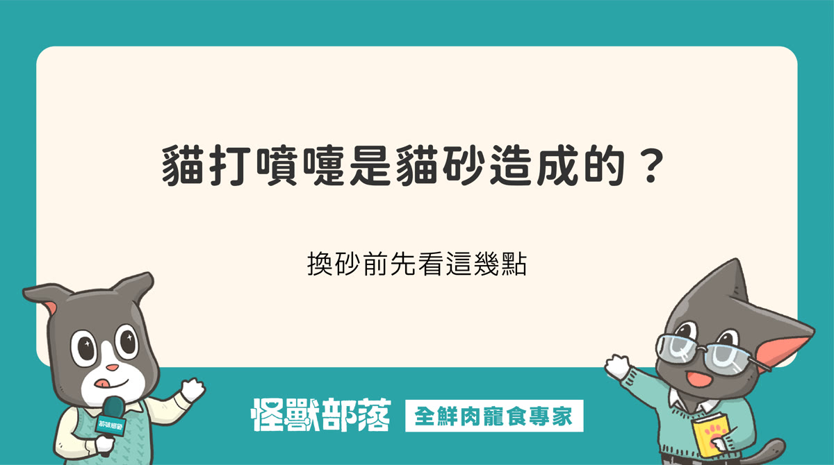 貓咪打噴嚏是貓砂造成的嗎？換砂前先看這幾點