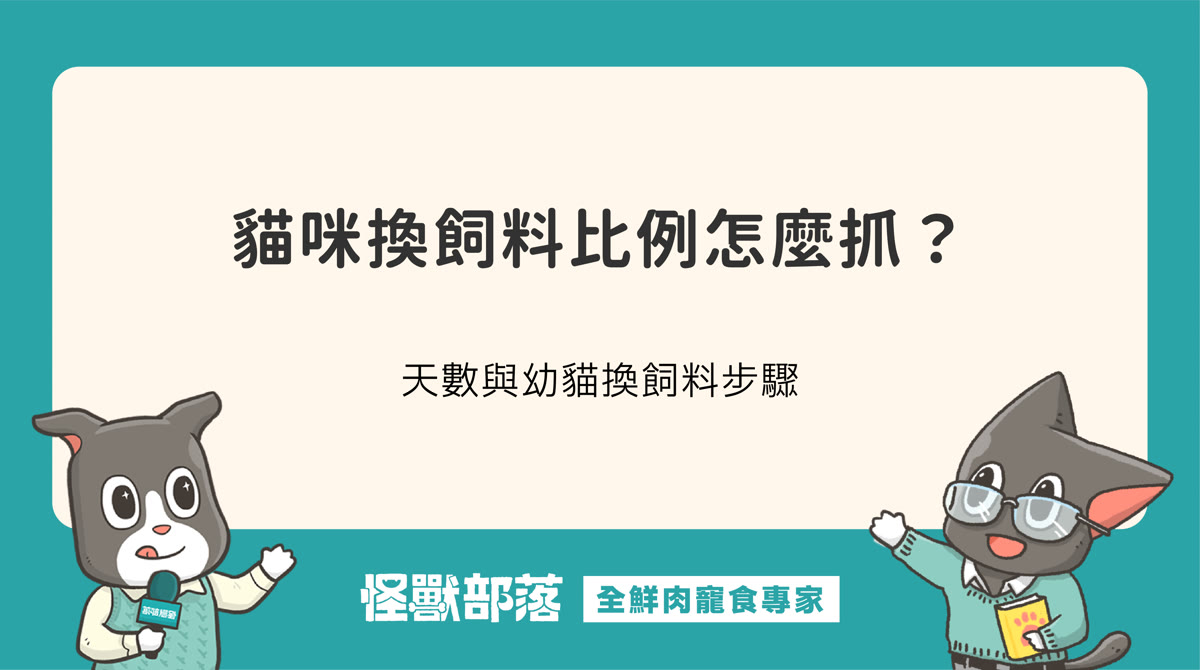 貓咪換飼料比例怎麼抓？天數與幼貓換飼料的步驟