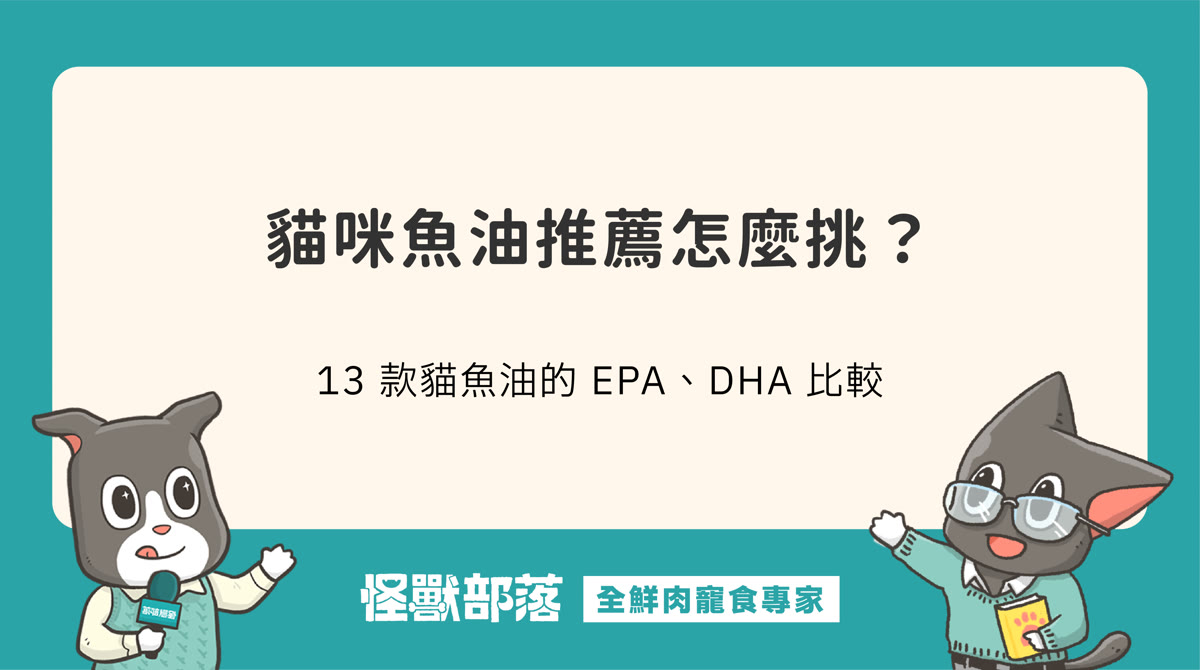 貓咪魚油推薦怎麼挑？看 EPA 與 DHA 毫克數，2026 年 13 款貓魚油比較