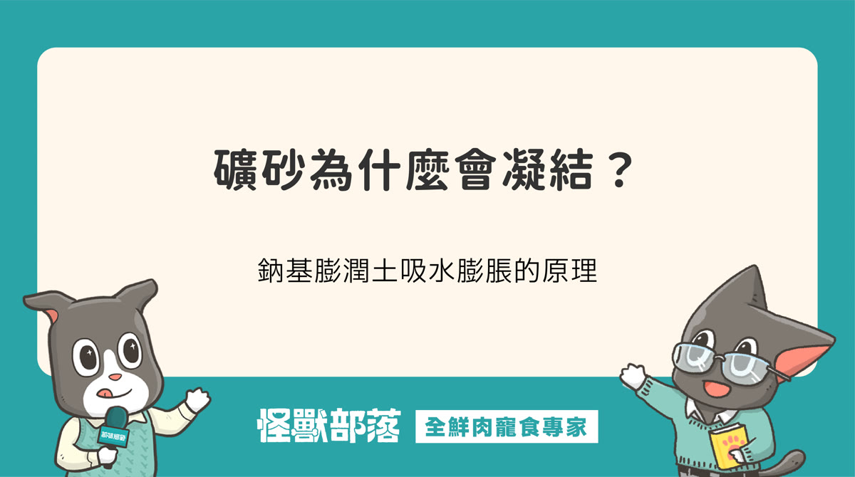 礦砂為什麼會凝結？鈉基膨潤土吸水膨脹的原理