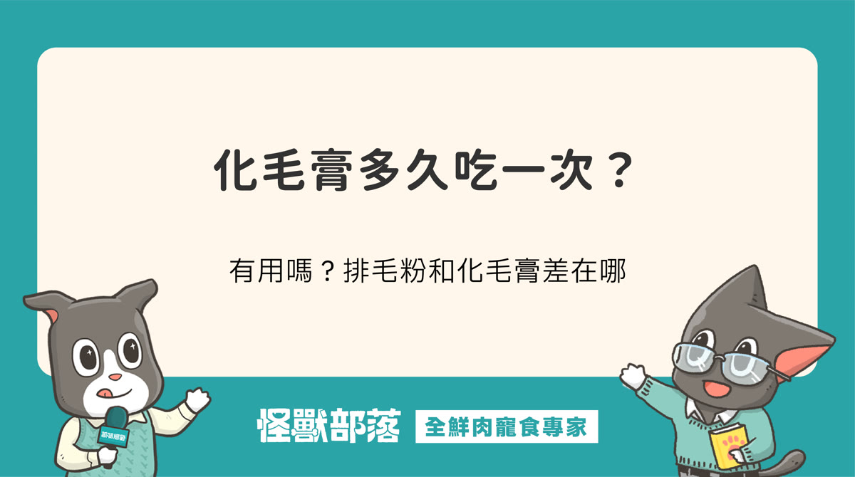 貓咪化毛膏多久吃一次？有用嗎？排毛粉和化毛膏差在哪裡？