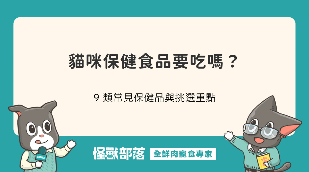 貓咪保健食品要吃嗎？2026 年 9 類常見保健品與貓咪保健品推薦