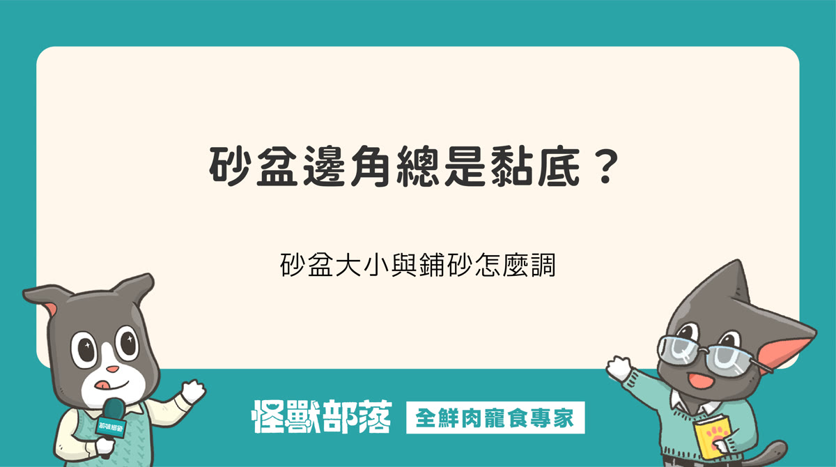 貓咪總尿在砂盆邊角黏底怎麼辦？砂盆大小與鋪砂