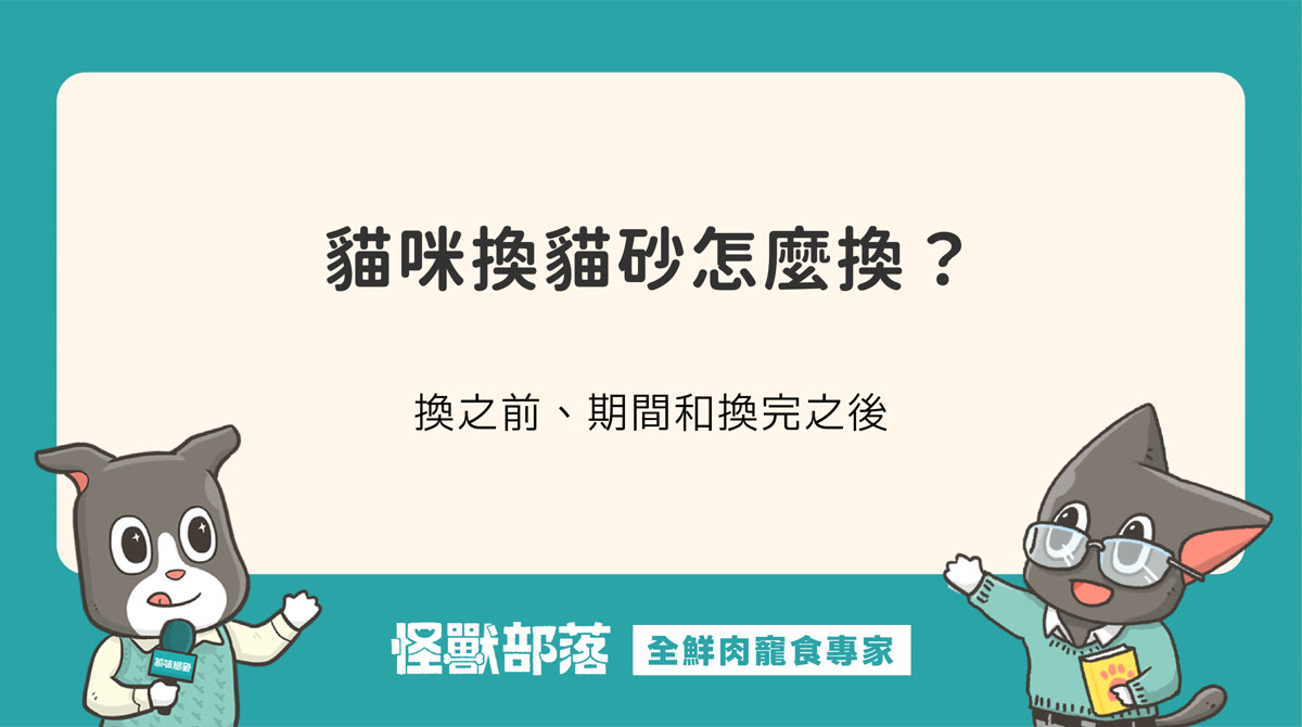 貓咪換貓砂怎麼換？換之前、換的期間和換完之後的做法