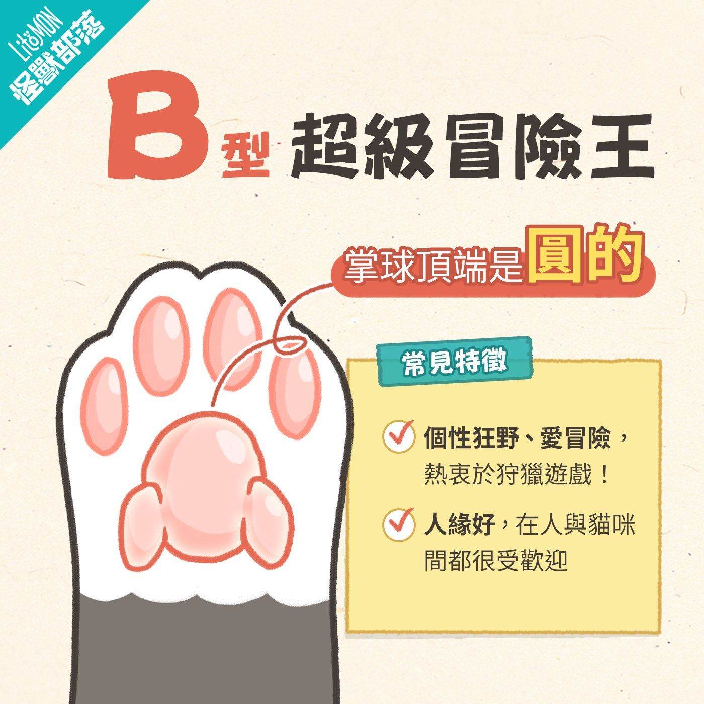 貓掌 個性 貓肉球