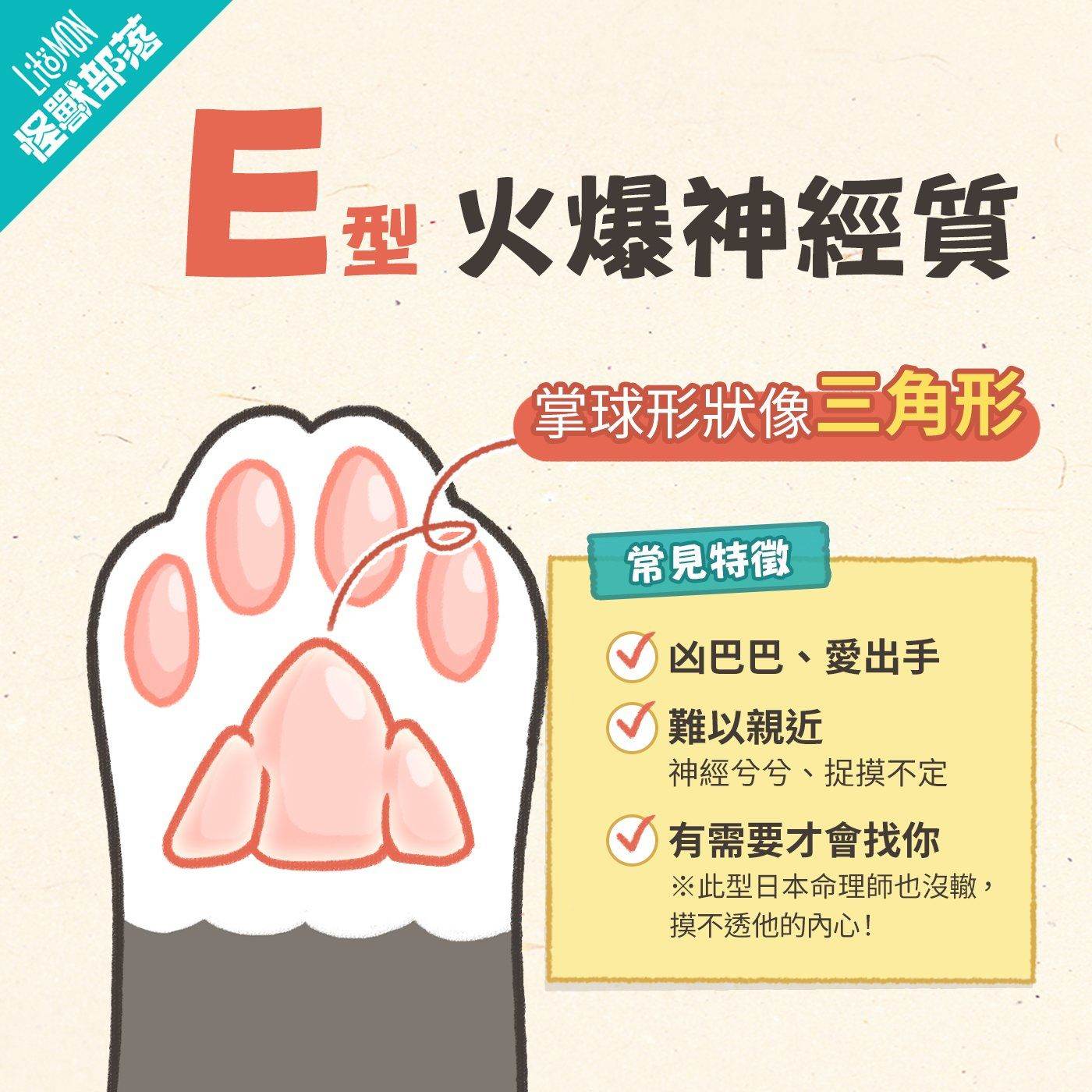 貓掌 個性 貓肉球