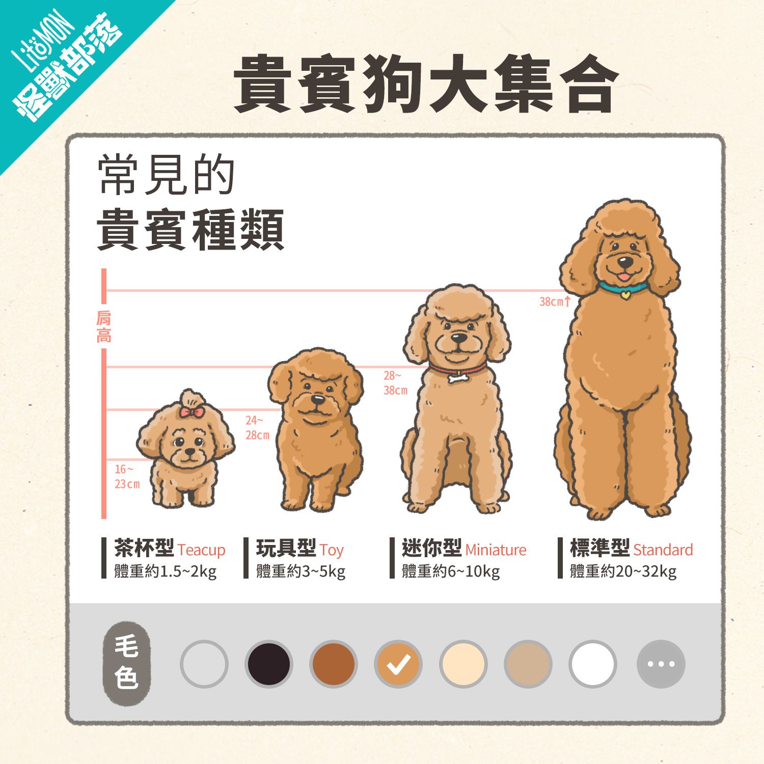 貴賓狗 智商 體型 種類 貴賓犬