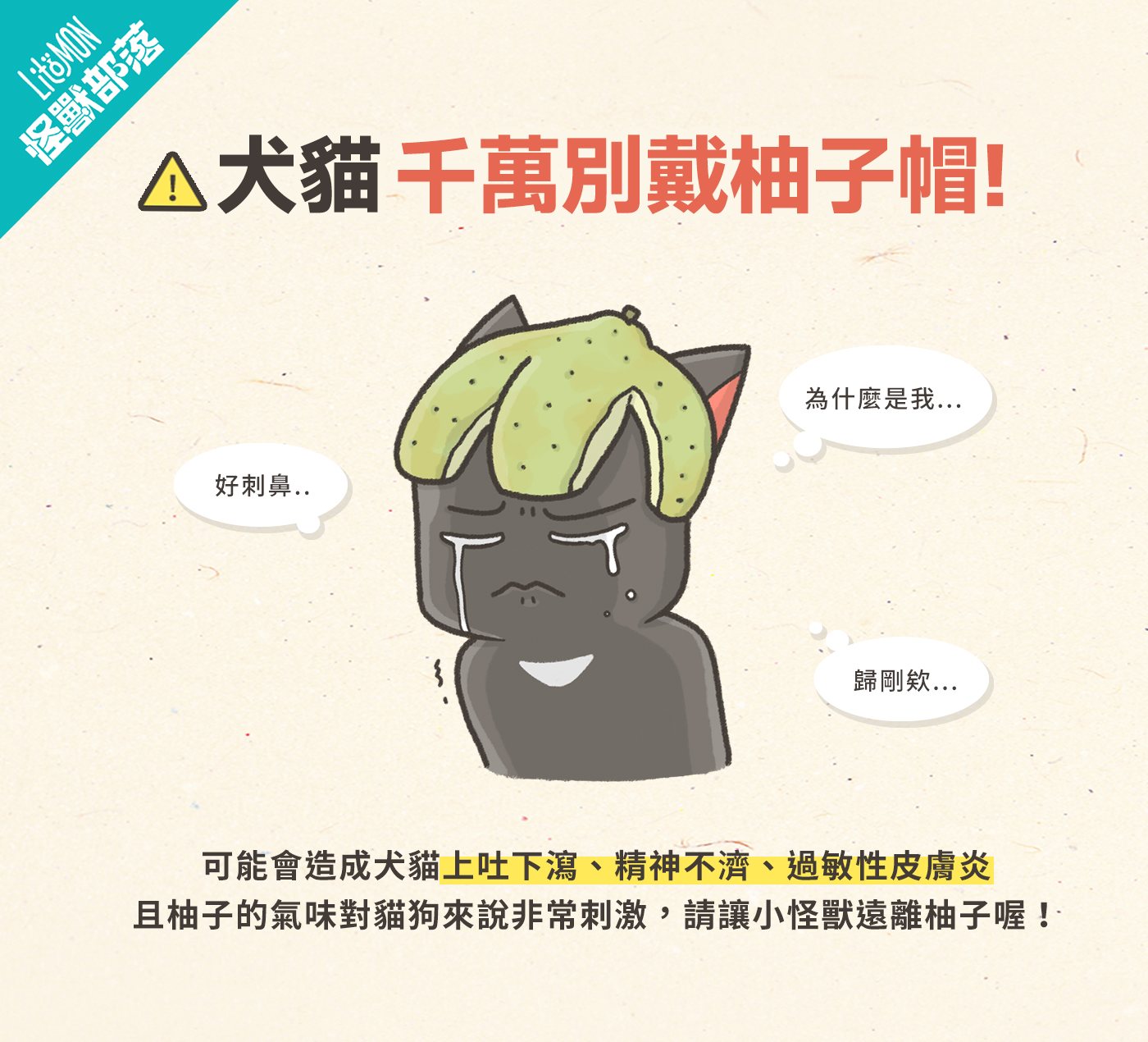 貓狗可以吃的水果 貓可以吃 狗可以吃