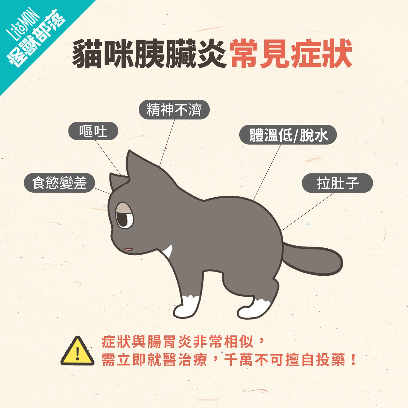 貓胰臟炎 症狀 多久會好