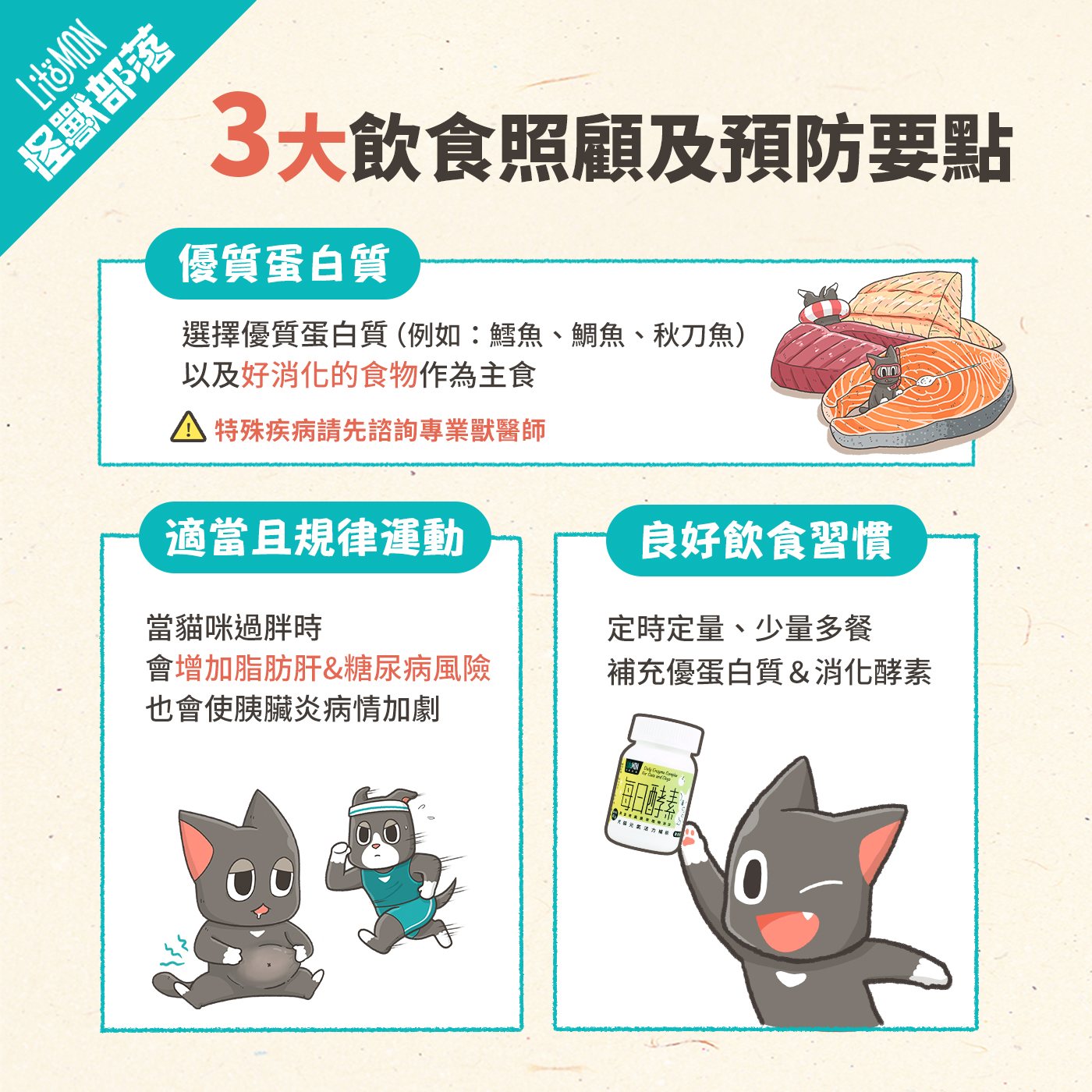 貓胰臟炎 飲食 吃什麼 照顧 預防