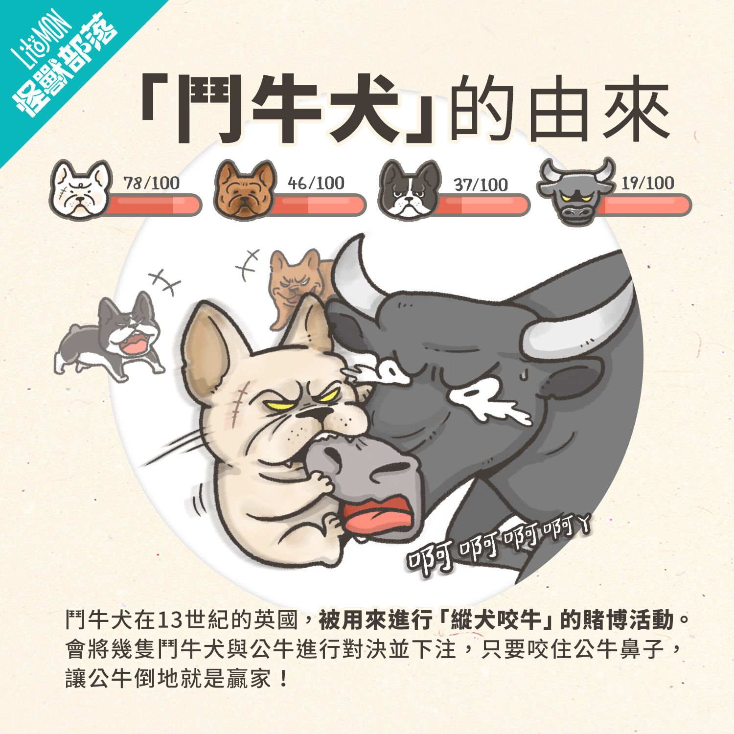 法鬥 法國鬥牛犬 法鬥品種