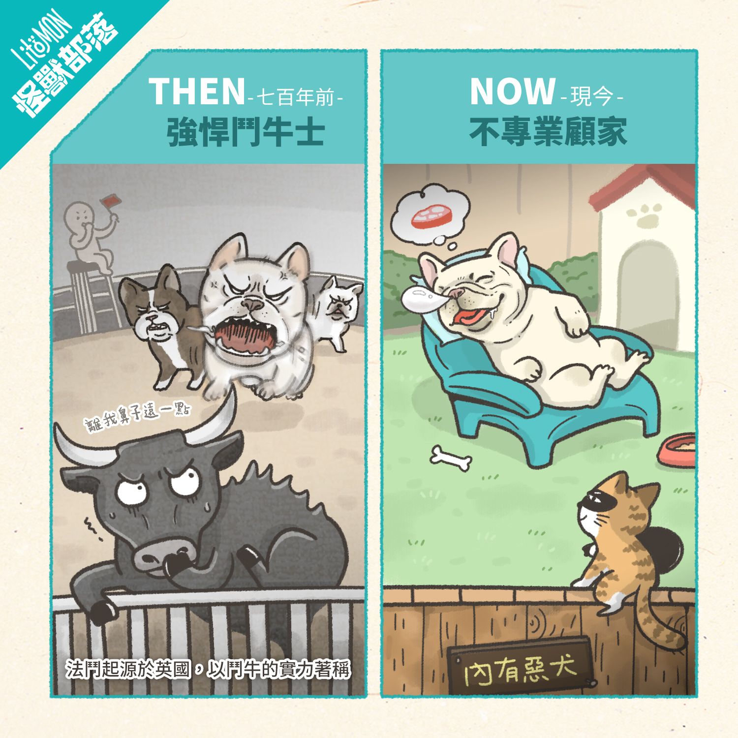 法鬥 法國鬥牛犬 法鬥品種