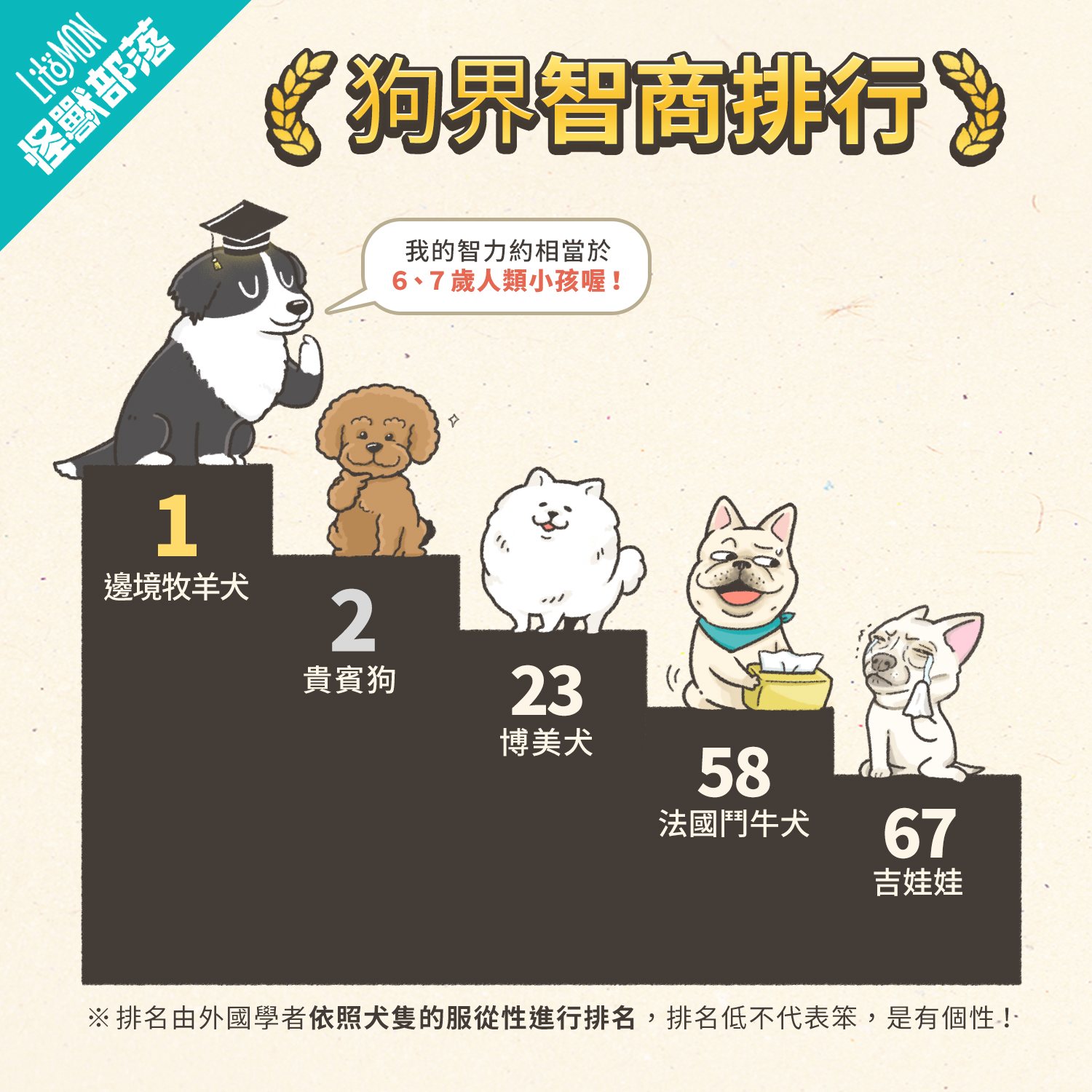 邊境牧羊犬 智商 毛色 特徵