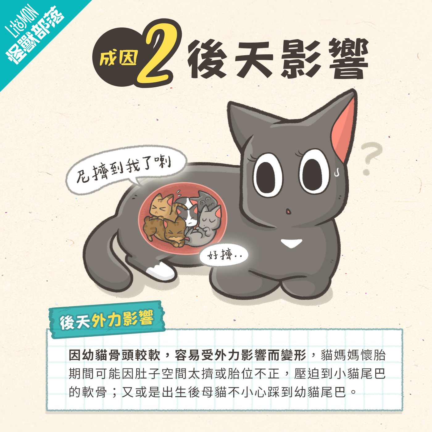 麒麟尾 貓咪麒麟尾 麒麟尾貓