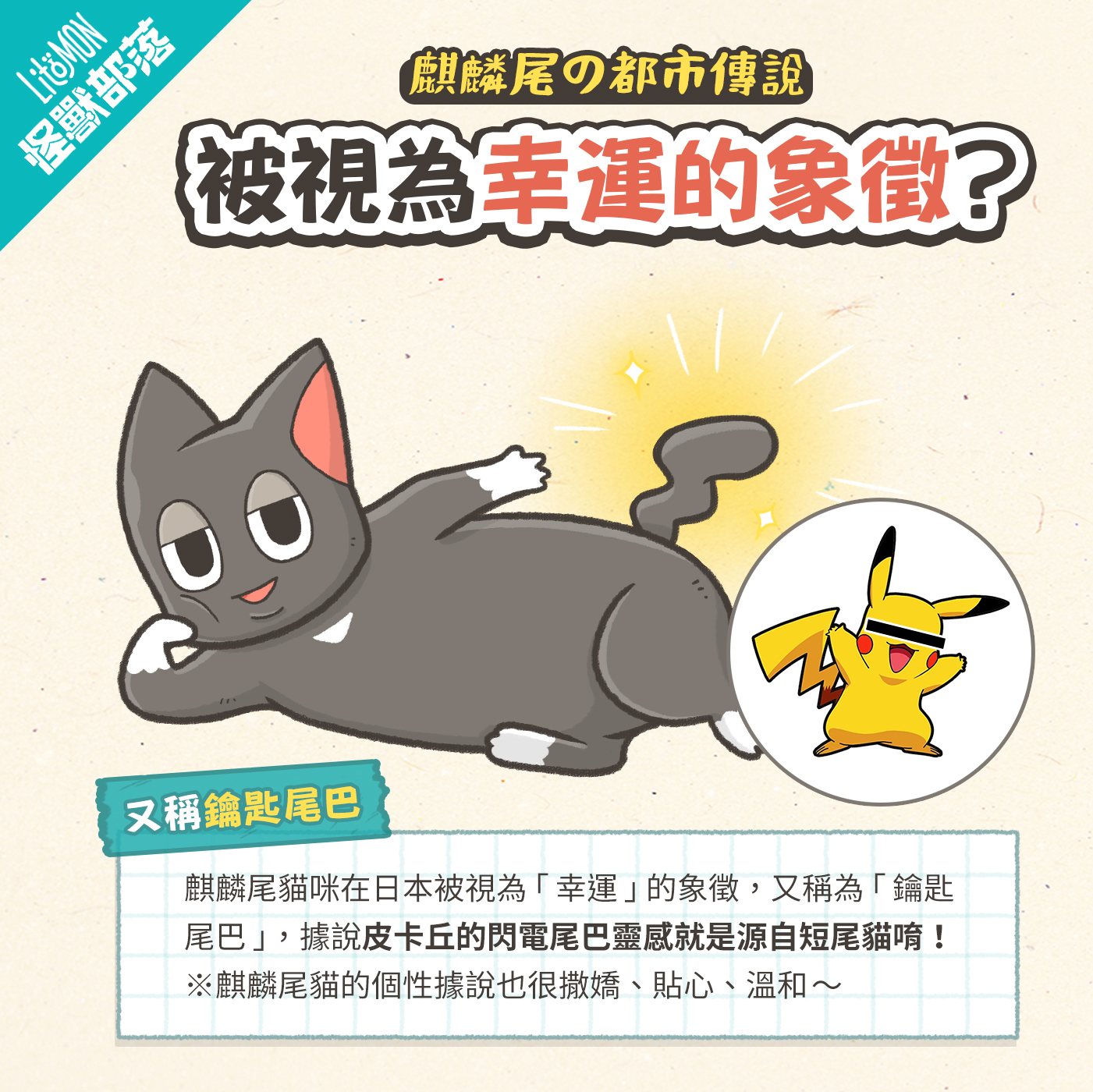 麒麟尾 貓咪麒麟尾 麒麟尾貓