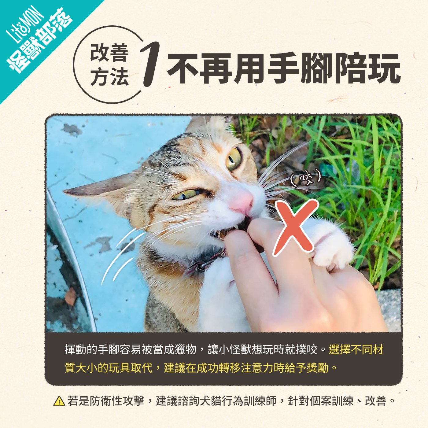 貓咬人 怎麼辦 貓咪咬人