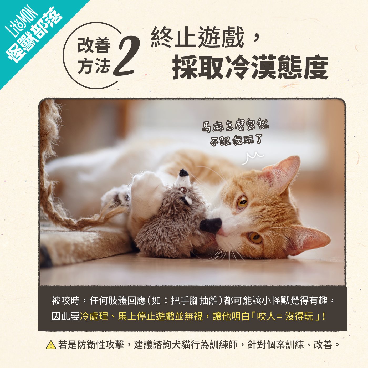 貓咬人 怎麼辦 貓咪咬人