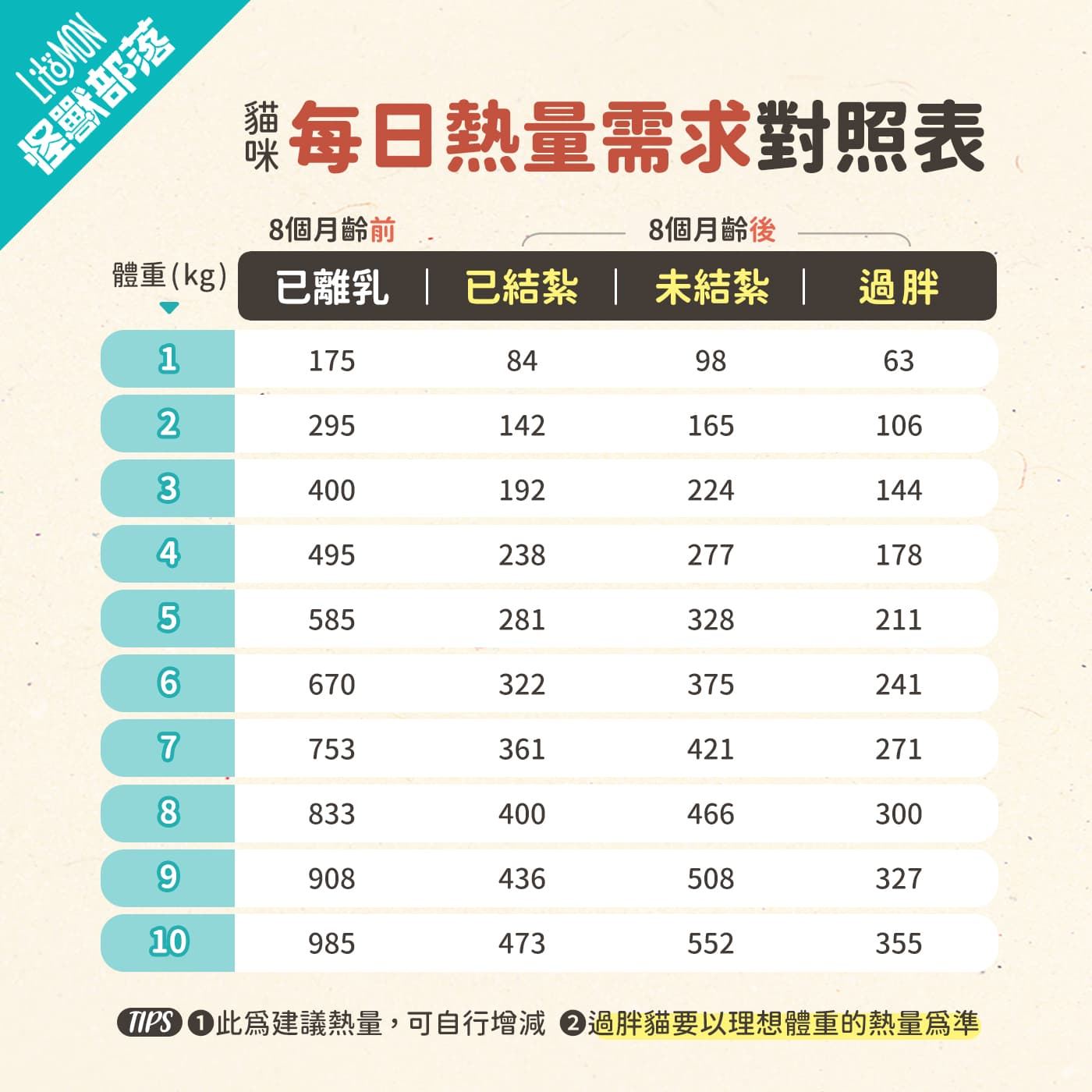 貓咪每日所需熱量